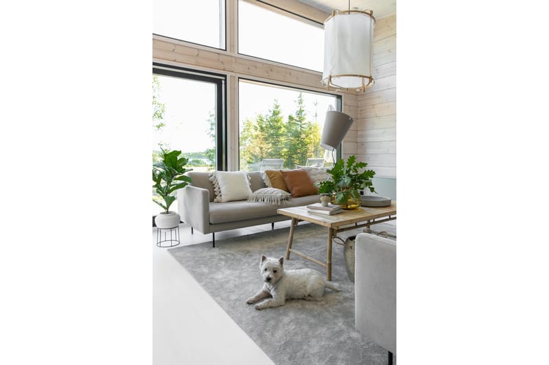 Hattara Matte 160x230 cm Beige - VM Tepper - Tekstiler - Tepper & Matter - Moderne tepper - Ryeteppe