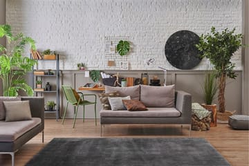 Sheraton Ryematte Rektangulær 200x290 cm - Grafitt - Tekstiler - Tepper & Matter - Moderne tepper - Ryeteppe