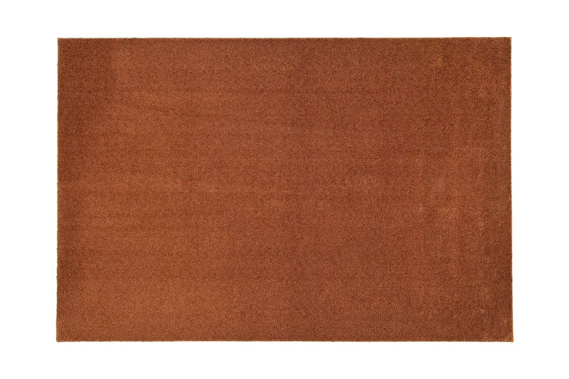 Sointu Matte 80x150 cm Terra, VM Carpet