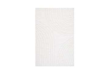 Softy Wiltonteppe 240x340 cm