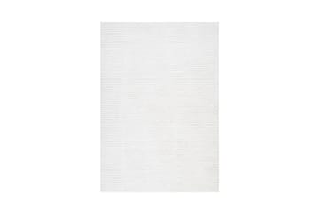 Softy Wiltonteppe 240x340 cm