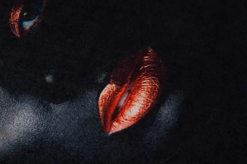 Carpet (100 x 150) Homefesto - Flerfarget - Tekstiler - Tepper & Matter - Orientalske tepper