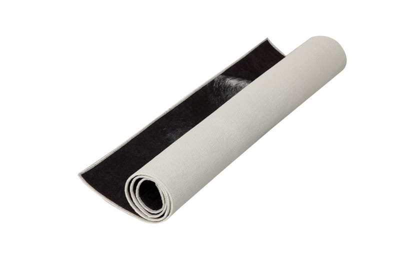 Carpet (100 x 150) Homefesto - Flerfarget - Tekstiler - Tepper & Matter - Orientalske tepper