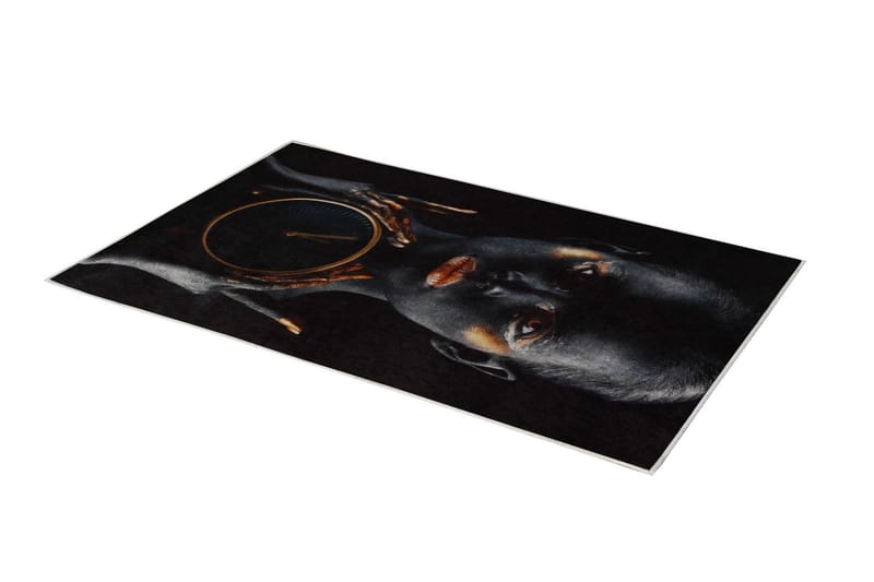 Carpet (100 x 150) Homefesto - Flerfarget - Tekstiler - Tepper & Matter - Orientalske tepper