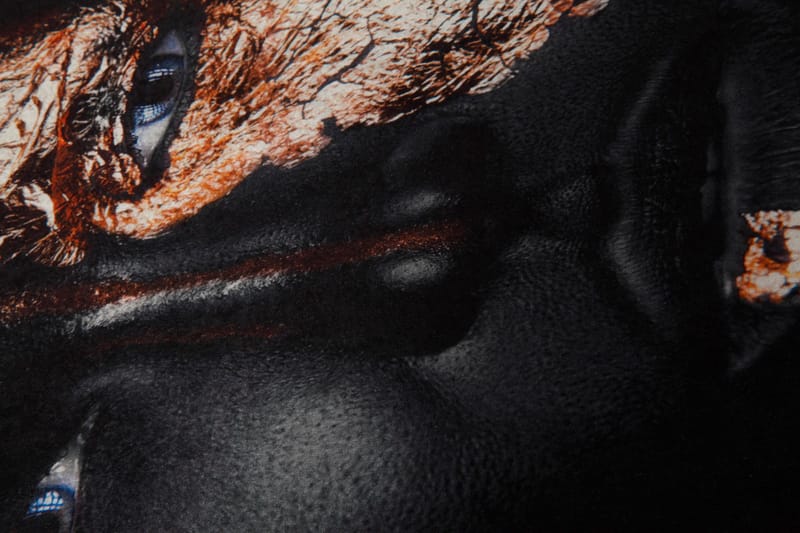 Carpet (100 x 150) Homefesto - Flerfarget - Tekstiler - Tepper & Matter - Orientalske tepper