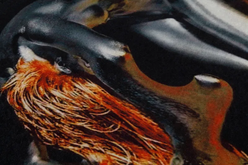 Carpet (100 x 200) Homefesto - Flerfarget - Tekstiler - Tepper & Matter - Orientalske tepper