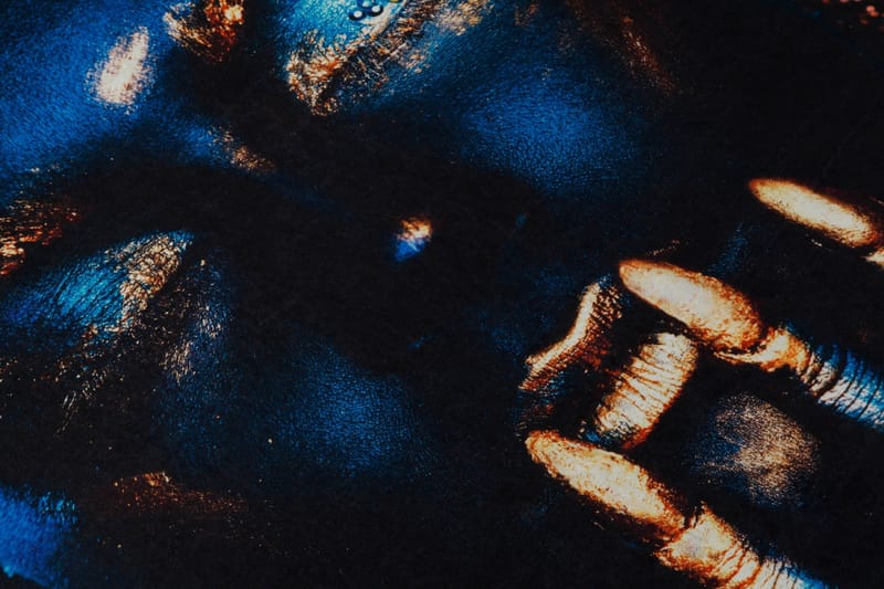 Carpet (100 x 200) Homefesto - Flerfarget - Tekstiler - Tepper & Matter - Orientalske tepper