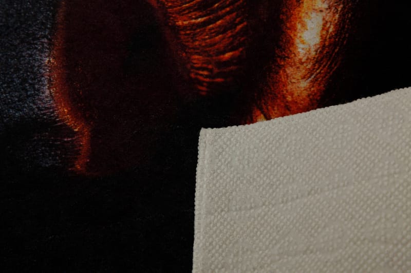 Carpet (120 x 180) Homefesto - Flerfarget - Tekstiler - Tepper & Matter - Orientalske tepper