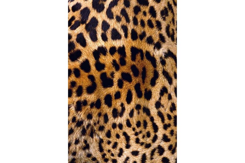 Matte (100 x 150) Homefesto - Bomull - Flerfarget - Tekstiler - Tepper & Matter - Orientalske tepper