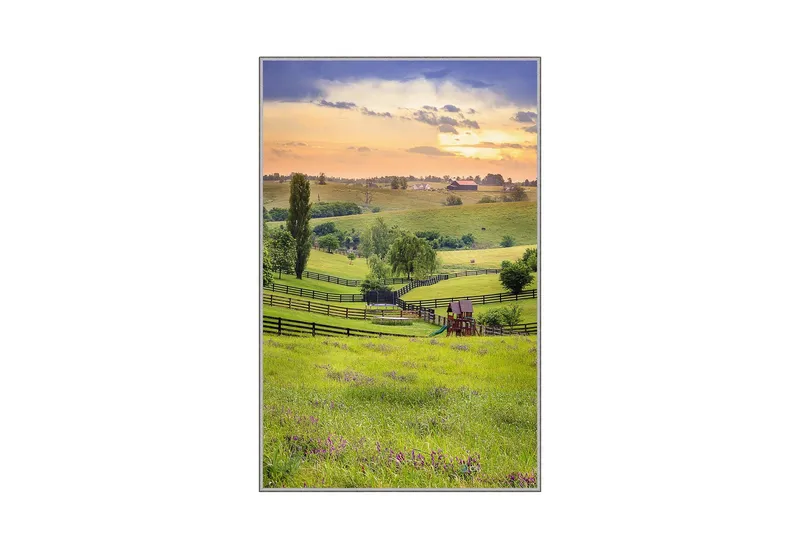 Matte (100x150) Homefesto 5, Flerfarget