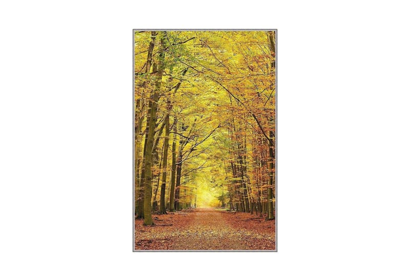 Matte (100x200) Homefesto 5 - Flerfarget - Tekstiler - Tepper & Matter - Orientalske tepper