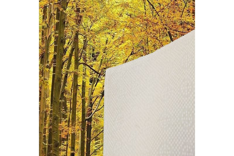 Matte (100x200) Homefesto 5 - Flerfarget - Tekstiler - Tepper & Matter - Orientalske tepper