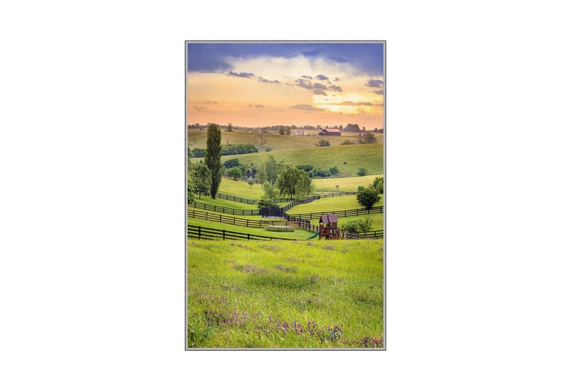 Matte (140x220) Homefesto 5, Flerfarget