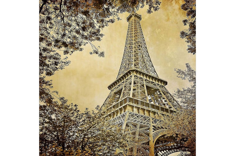 Matte (180x280) Homefesto 4 - Flerfarget - Tekstiler - Tepper & Matter - Orientalske tepper