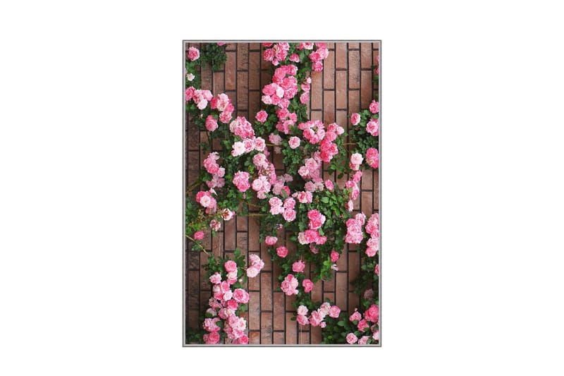 Matte (80 x 120) Homefesto 5 - Flerfarget - Tekstiler - Tepper & Matter - Orientalske tepper