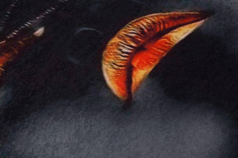 Matte (80 x 200) Homefesto - Flerfarget - Tekstiler - Tepper & Matter - Orientalske tepper