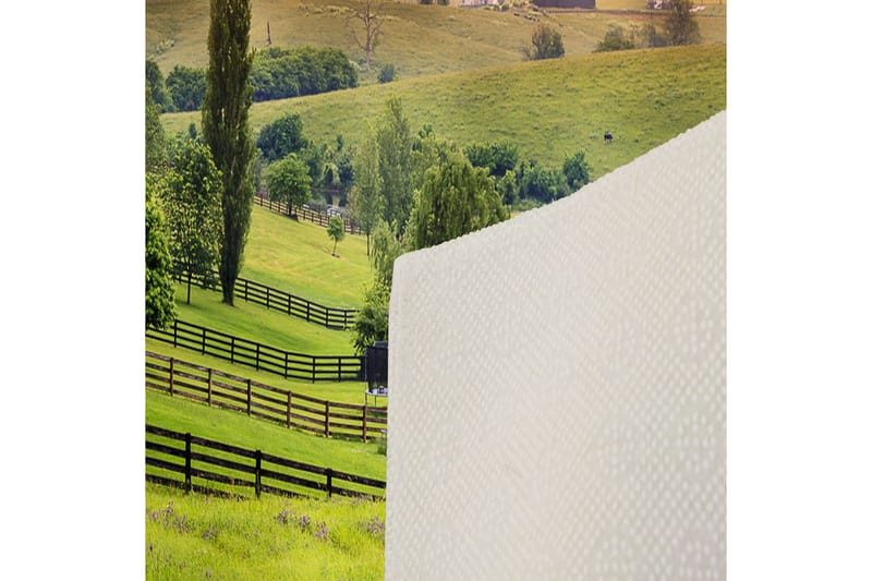 Matte (80 x 300) Homefesto 5 - Flerfarget - Tekstiler - Tepper & Matter - Orientalske tepper