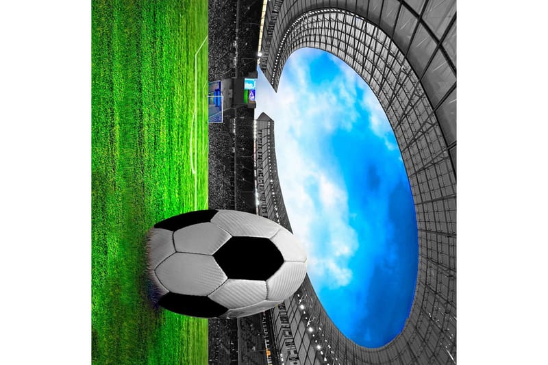 Matte (80 x 300) Homefesto 5 - Flerfarget - Tekstiler - Tepper & Matter - Orientalske tepper