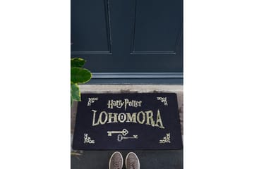 Chilai Dørmatte 45x70 cm - PVC/Multifarget - Tekstiler - Tepper & Matter - Hall matte