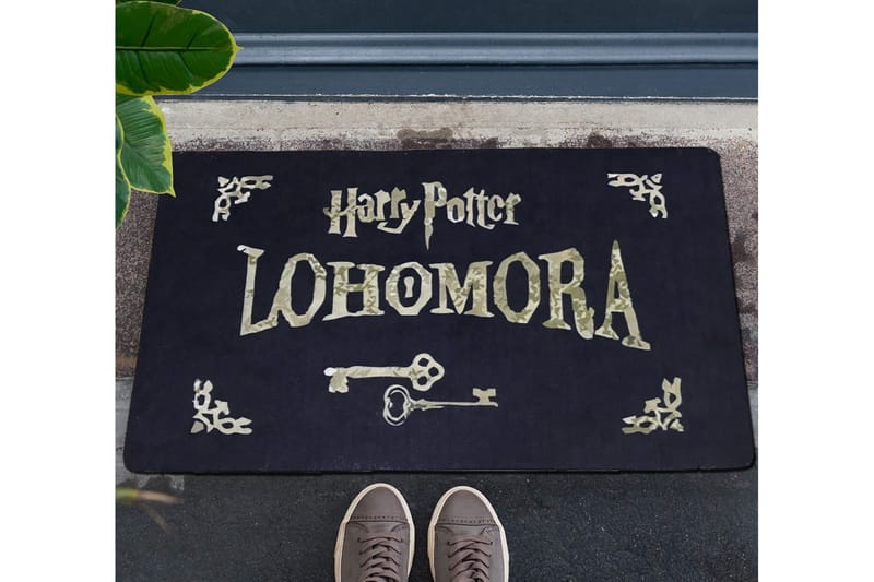 Chilai Dørmatte 45x70 cm, PVC/Multifarget