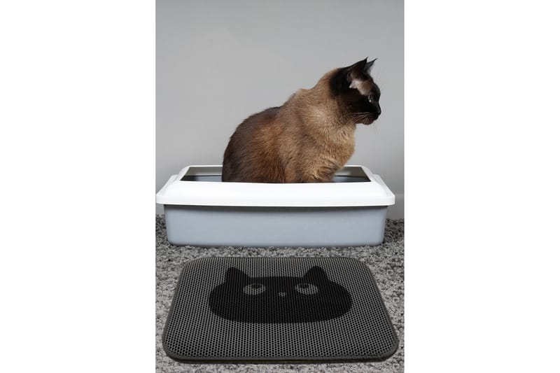 Chilai KattsandsMatte 45x60 cm - Multifarget - Tekstiler - Tepper & Matter - Moderne tepper - Wiltontepper