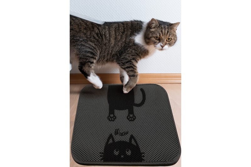 Chilai KattsandsMatte 45x60 cm - Multifarget - Tekstiler - Tepper & Matter - Moderne tepper - Wiltontepper