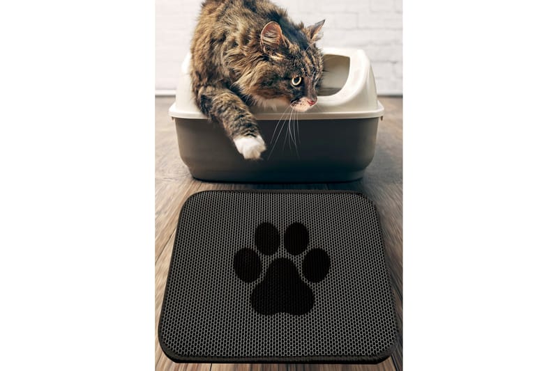 Chilai KattsandsMatte 45x60 cm - Multifarget - Tekstiler - Tepper & Matter - Moderne tepper - Wiltontepper