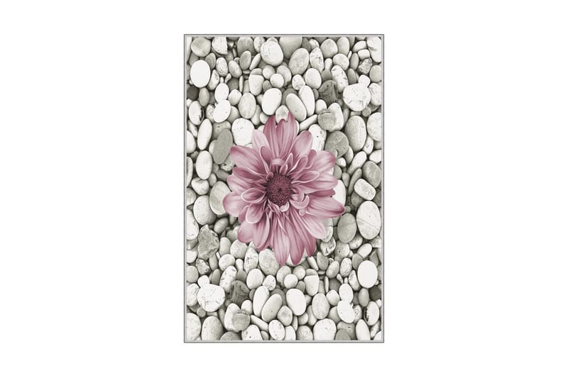 Homefesto Matte 60x100 cm, Multifarget