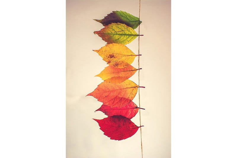 Homefesto Matte 60x100 cm - Multifarget - Tekstiler - Tepper & Matter - Små tepper