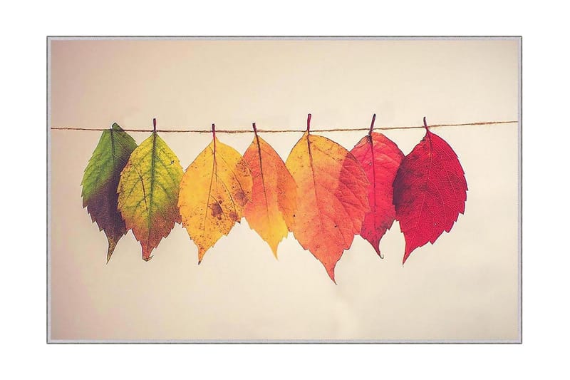 Homefesto Matte 60x100 cm, Multifarget