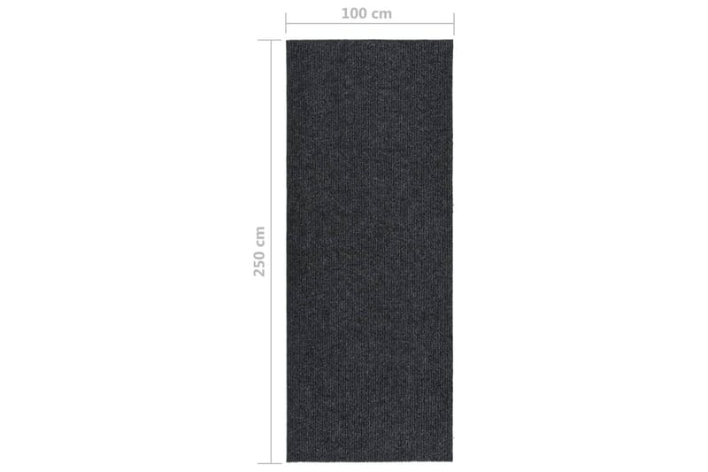 Smussfangende teppeløper 100x250 cm antrasitt - Antrasittgrå - Kjøkkenmatte - Plasttepper - Hall matte