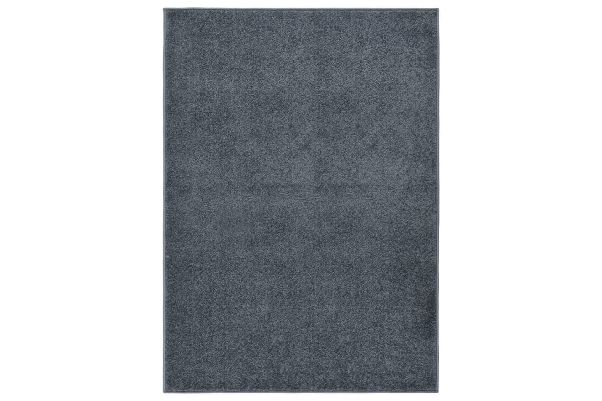 Teppe med kort luv 140x200 cm antrasitt - Antrasittgrå - Tekstiler - Tepper & Matter - Utendørstepper - Plasttepper