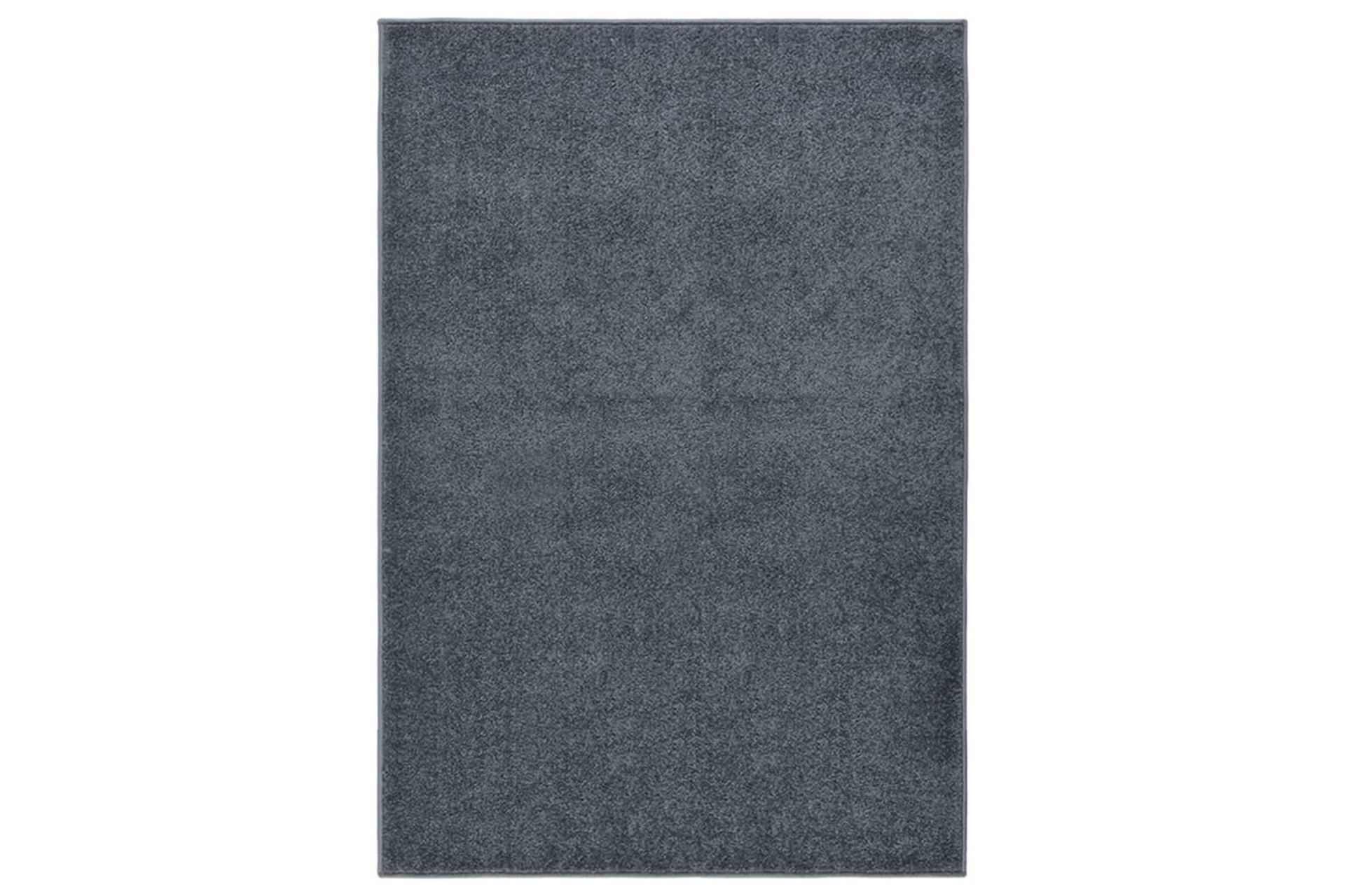 Teppe med kort luv 160x230 cm antrasitt - Antrasittgrå - Tekstiler - Tepper & Matter - Utendørstepper - Plasttepper