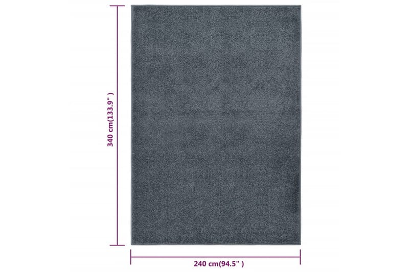 Teppe med kort luv 240x340 cm antrasitt - Antrasittgrå - Kjøkkenmatte - Plasttepper - Hall matte