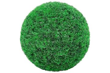 Hekkplanter