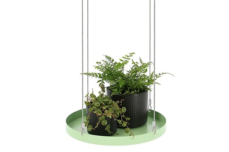 Ampel & hengende blomsterpotte